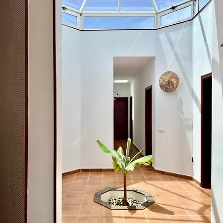 Canaryislandshost I Tauco Feriehus